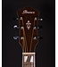 Ibanez AE170 Acoustic Electric, Natural