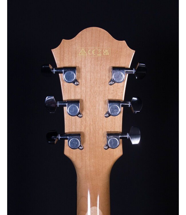 Ibanez AE170 Acoustic Electric, Natural