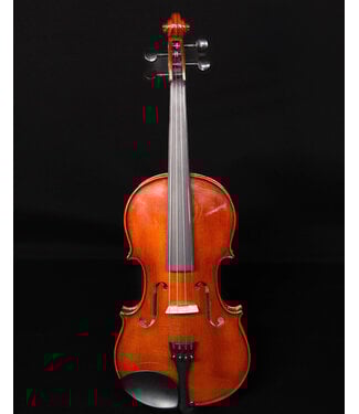 Palatino Palatino VN850 Vivance Dolce  Violin Outfit, 4/4