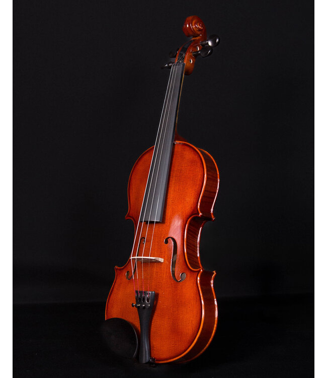 Palatino VN850 Vivance Dolce  Violin Outfit, 4/4