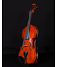 Palatino Palatino VN850 Vivance Dolce  Violin Outfit, 4/4