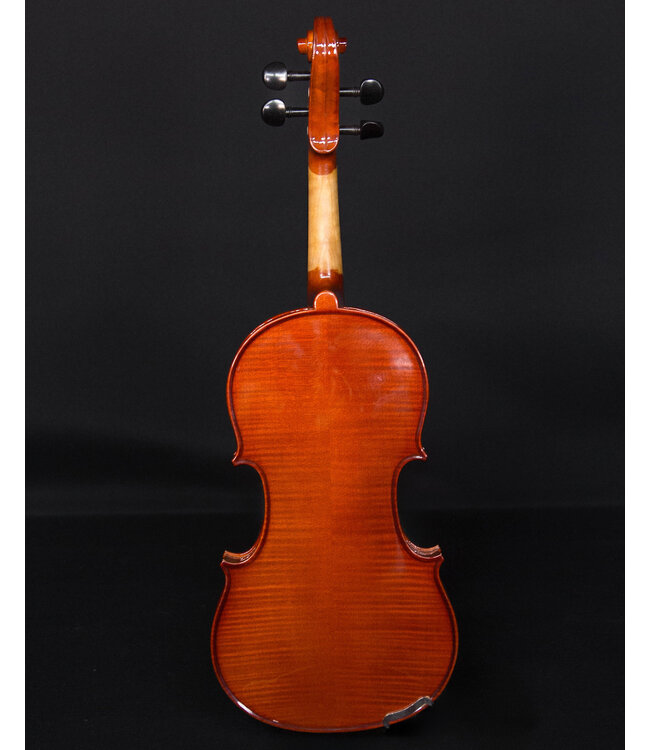Palatino VN850 Vivance Dolce  Violin Outfit, 4/4