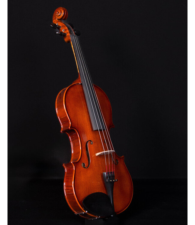 Palatino VN850 Vivance Dolce  Violin Outfit, 4/4
