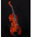 Palatino Palatino VN850 Vivance Dolce  Violin Outfit, 4/4