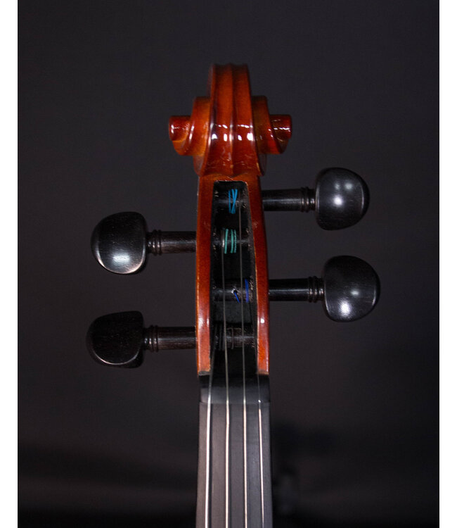 Palatino VN850 Vivance Dolce  Violin Outfit, 4/4