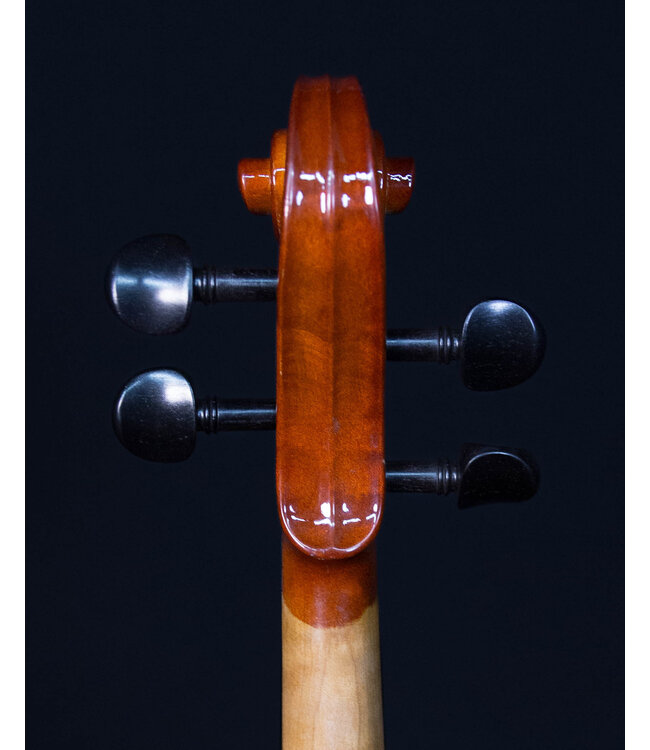 Palatino VN850 Vivance Dolce  Violin Outfit, 4/4