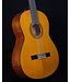 Yamaha CG142CH Classical Acoustic Guitar