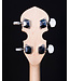 Gold Tone AC-5 5-String Banjo. Includes Bag