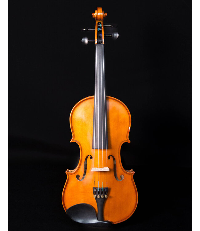 Anton Breton AB-20 Student Violin Outfit - 4/4
