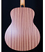 Taylor GS Mini Sapele with Sitka Spruce Top