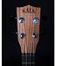 Kala Kala KA-SA-C All Solid Acacia Concert Ukulele - Blem