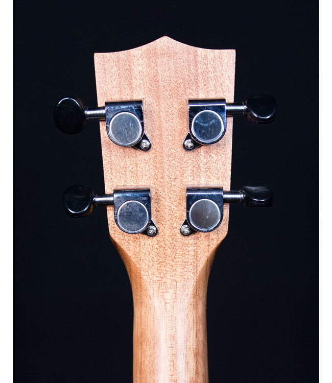 Kala KA-SA-C All Solid Acacia Concert Ukulele - Blem