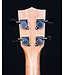 Kala Kala KA-SA-C All Solid Acacia Concert Ukulele - Blem