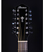 Ibanez AEG5012, Dark Violin Sunburst High Gloss