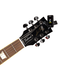 D'Addario D'Addario Eclipse Headstock Tuner, Black