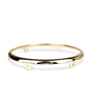 LP LP CC2 Conga Rim Gold, 12-1/2"