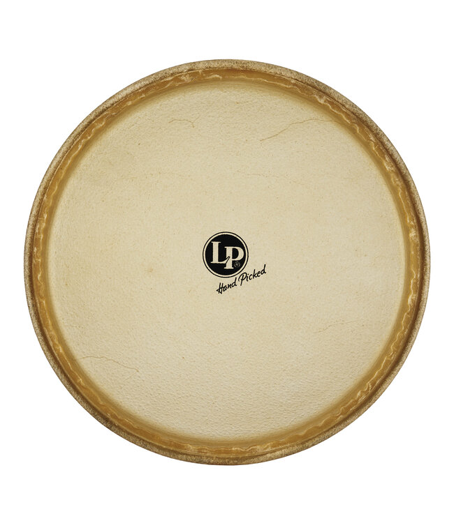 Latin Percussion 11-3/4" Rawhide Conga Head