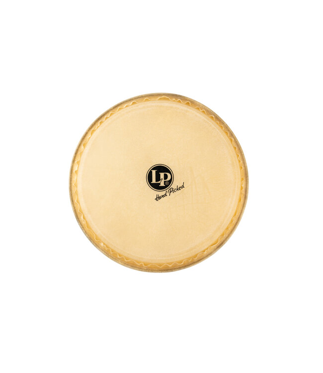 LP 14in HEAD FOR BARRIL DE BOMBA