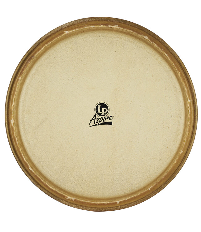 LP Aspire 12" Rawhide Tumba Head