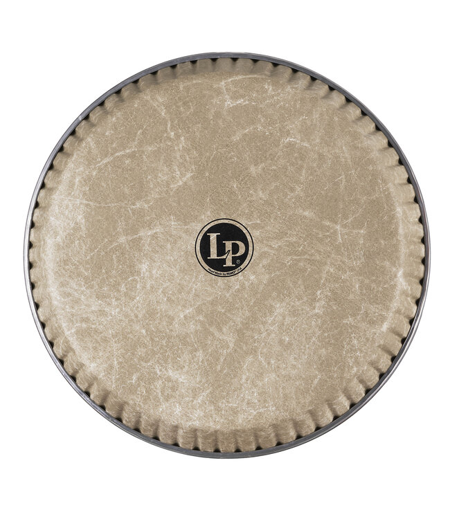 LP LP 11-3/4" Fiberskyn LP by Remo Conga Head