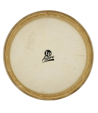 LP LP Aspire 11" Rawhide Conga Head
