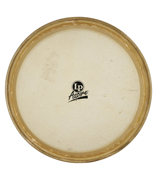 LP Aspire 11" Rawhide Conga Head