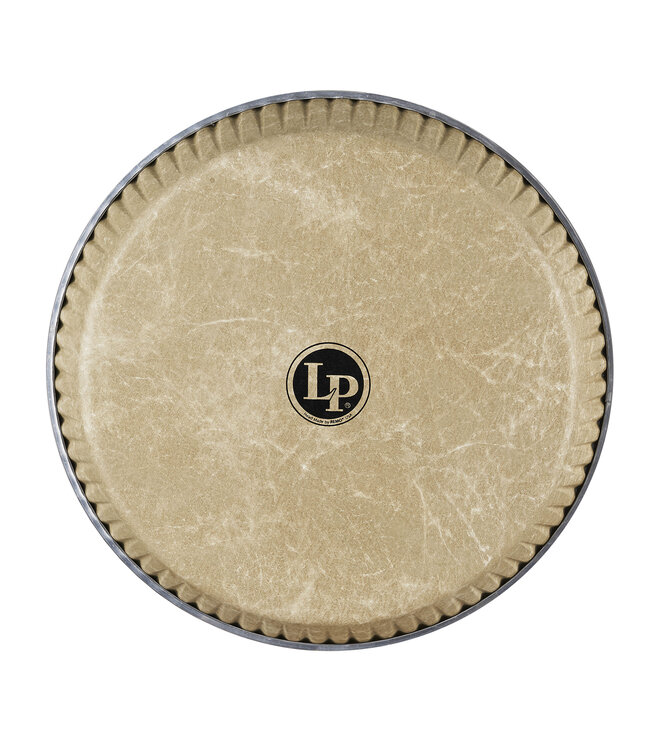 LP LP 11" Fiberskyn LP by Remo Conga Head