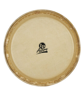 LP LP Aspire 10" Rawhide Quinto Head
