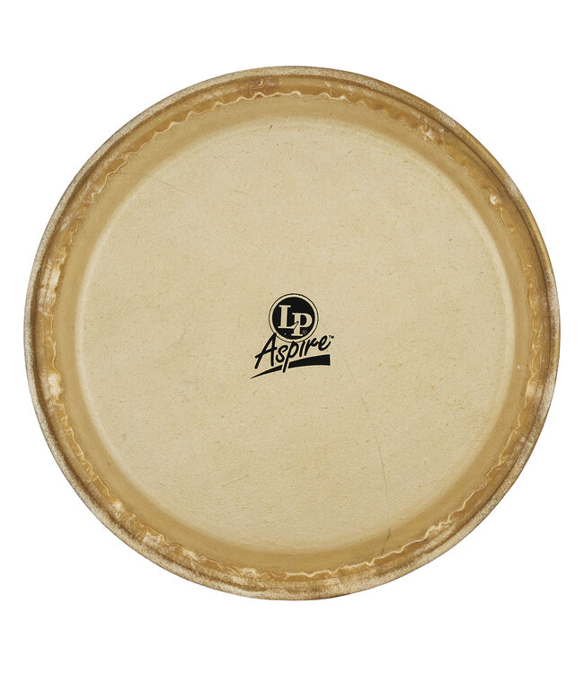 LP Aspire 10" Rawhide Quinto Head