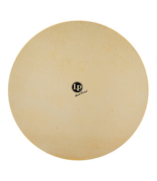 LP LP 19" Deluxe Conga Skin