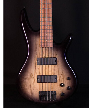 Ibanez Ibanez GSR205SM 5-String Bass, Spalted Natural Grey Burst