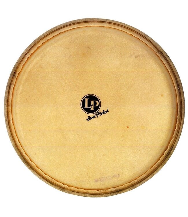 LP DANDY HEMBRA HEAD 9 in