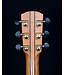 Alvarez MD5000 Dreadnought Acoustic with Deluxe Bag - Used