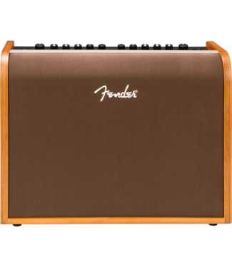 Fender Fender Acoustic 100 Acoustic Amplifier, 120V