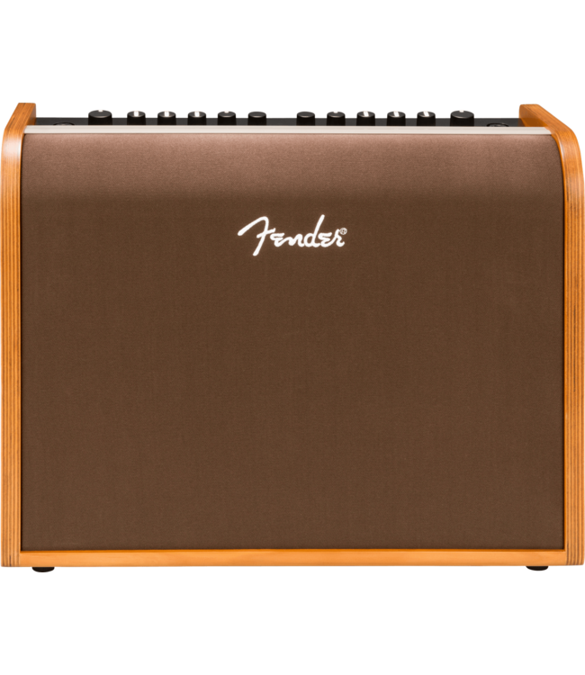 Fender Acoustic 100 Acoustic Amplifier, 120V