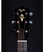 Taylor Gold Label 717e Grand Pacific, Sunburst