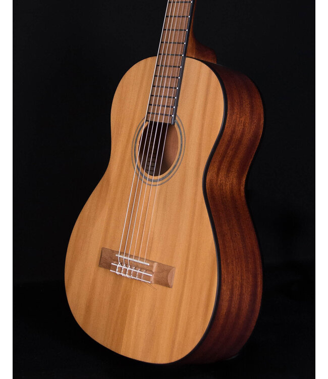 Fender FA-15N 3/4 Scale Nylon String with Gig Bag, Natural