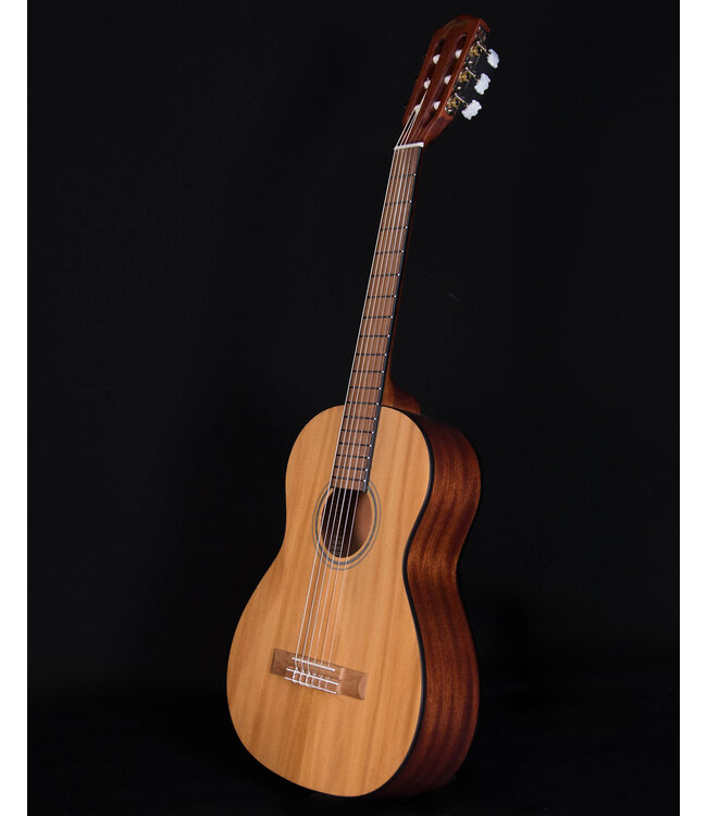 Fender FA-15N 3/4 Scale Nylon String with Gig Bag, Natural