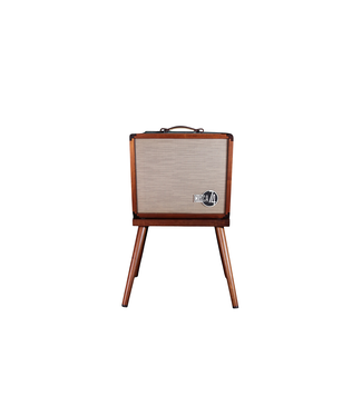 Taylor Taylor Circa 74 Acoustic Guitar and Vocal Amplifier