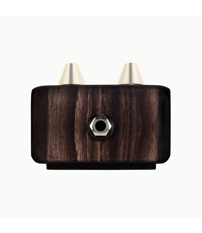 LR Baggs Align Series Delay Pedal