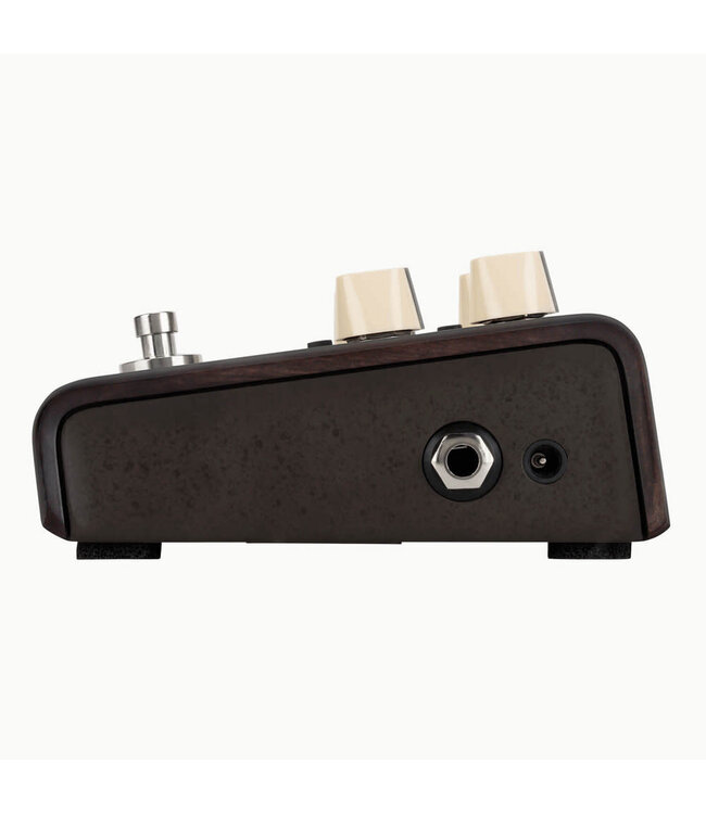 LR Baggs Align Series Delay Pedal