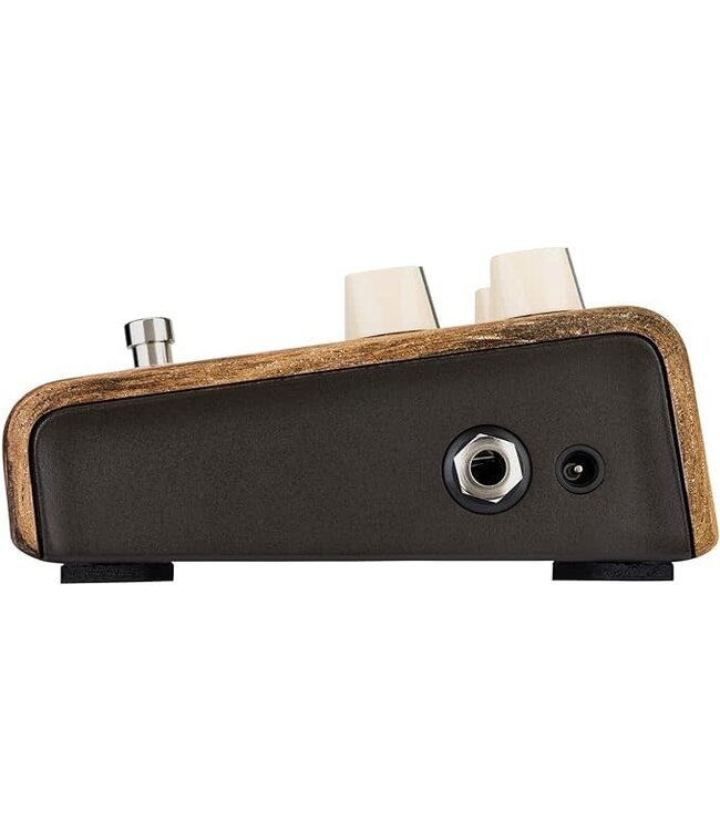 LR Baggs Align Series Session Pedal