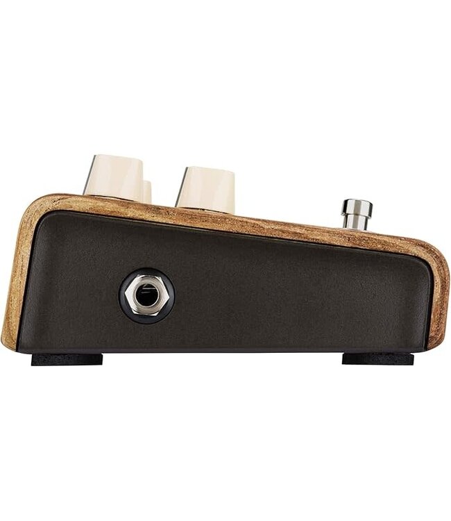 LR Baggs Align Series Session Pedal