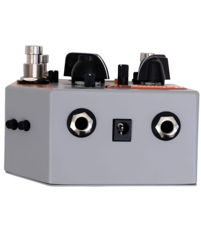 Rainger FX Drone Ranger Digital Delay Synth Effect Pedal