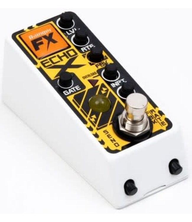 Rainger FX Echo-X Digital Delay Mini Pedal (with Igor)