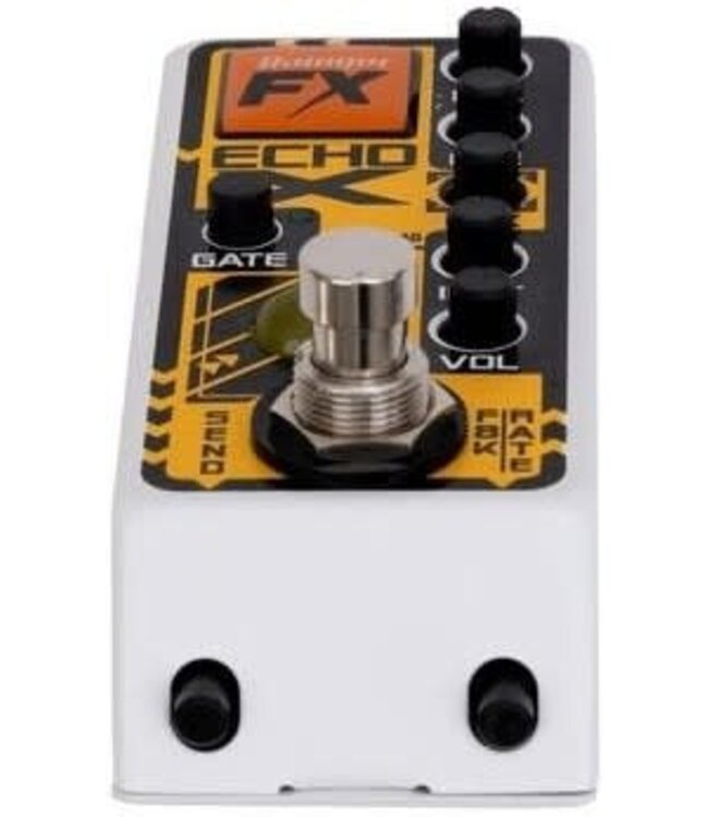 Rainger FX Echo-X Digital Delay Mini Pedal (with Igor)