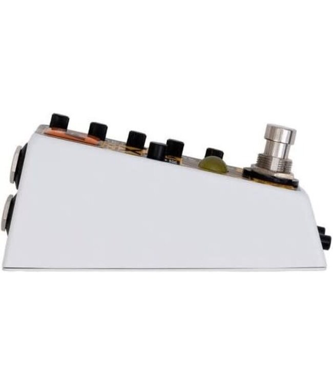 Rainger FX Echo-X Digital Delay Mini Pedal (with Igor)