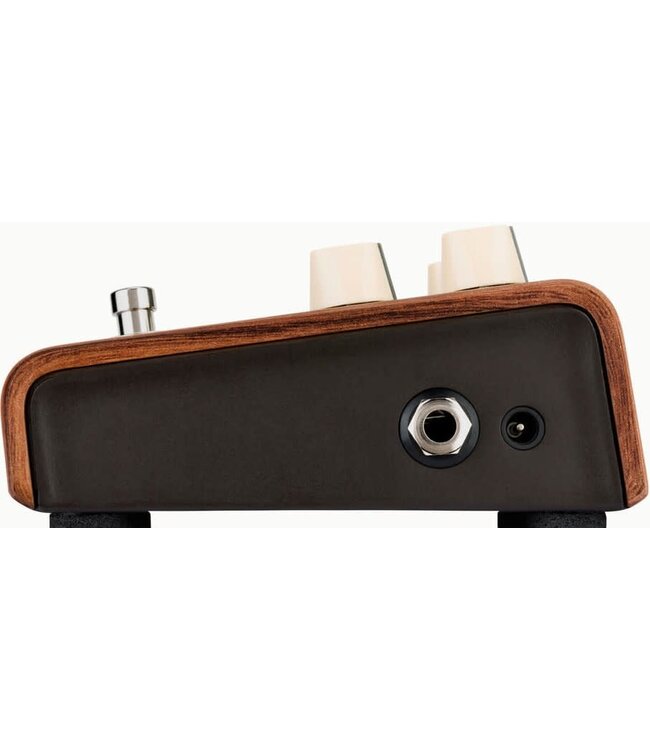 LR Baggs Align Series Reverb Pedal