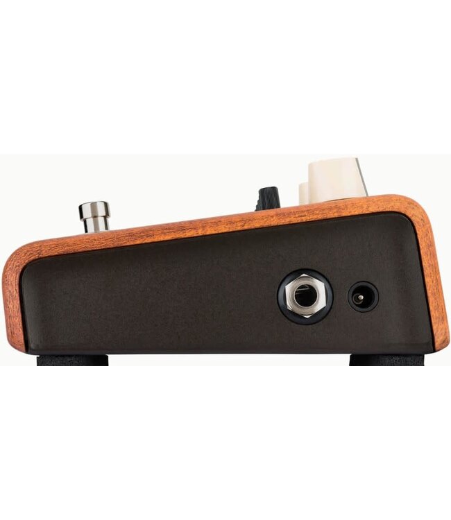 LR Baggs Align Series Equalizer Pedal