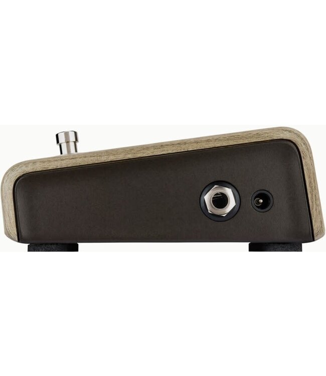 LR Baggs Align Series Active DI Pedal